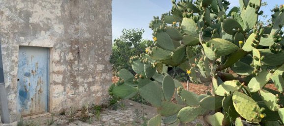 1 room Warehouse in Castellana Grotte, Italy No. 31191 9