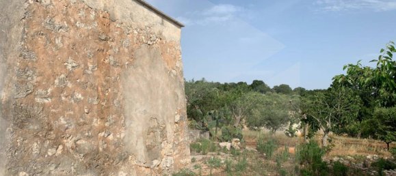 1 room Warehouse in Castellana Grotte, Italy No. 31191 12