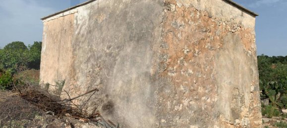 1 room Warehouse in Castellana Grotte, Italy No. 31191 14