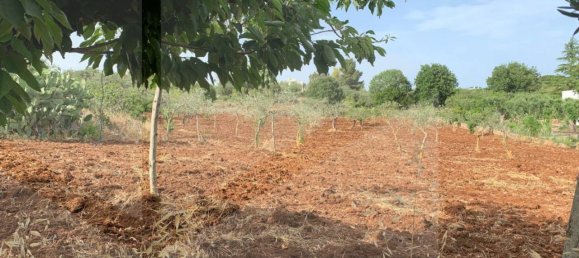 1 room Warehouse in Castellana Grotte, Italy No. 31191 10