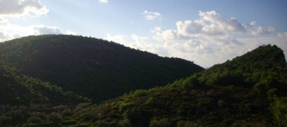 Terra em Zakynthos, Greece N.º 654 10