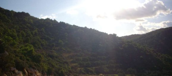 Terra em Zakynthos, Greece N.º 654 14