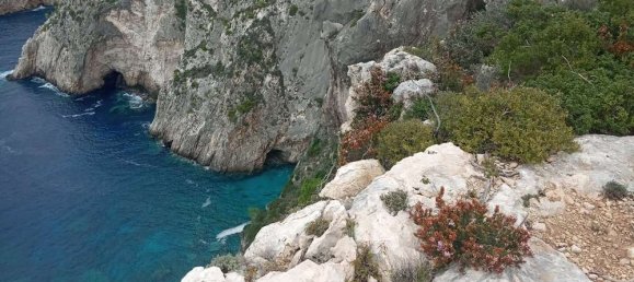 Terra em Zakynthos, Greece N.º 654 15