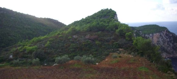 Terra em Zakynthos, Greece N.º 654 21