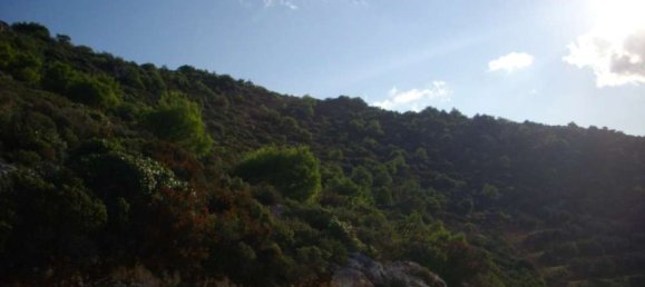 Terra em Zakynthos, Greece N.º 654 7