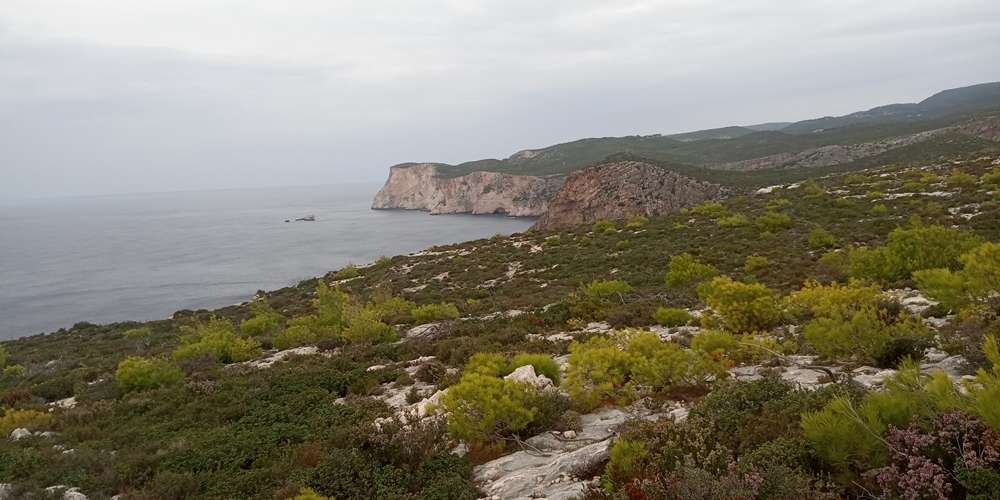 Terra em Zakynthos, Greece N.º 654