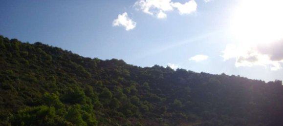 Terra em Zakynthos, Greece N.º 654 13