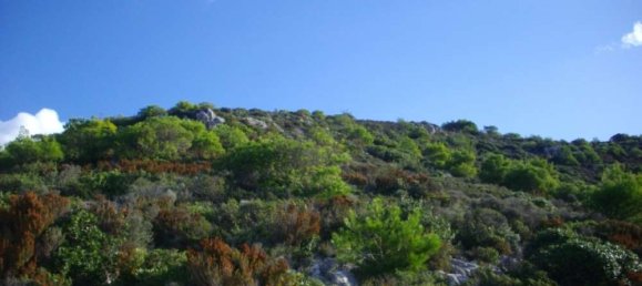 Terra em Zakynthos, Greece N.º 654 4
