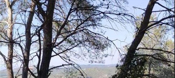 Terrain à Barcelona, Spain 981m² No. 155457 6