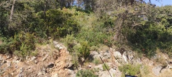 Terrain à Barcelona, Spain 981m² No. 155457 3