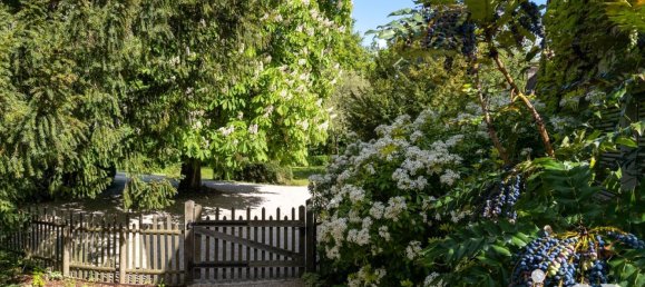 11 bedrooms House in Tours, France No. 49162 17