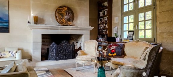 11 bedrooms House in Tours, France No. 49162 11