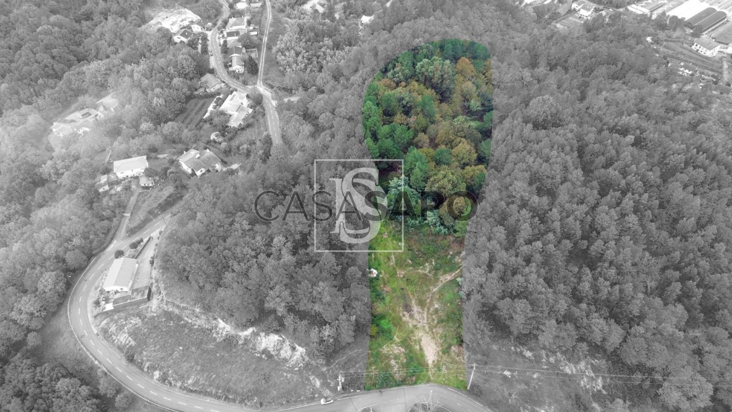  Land in Amarante, Portugal No. 329261
