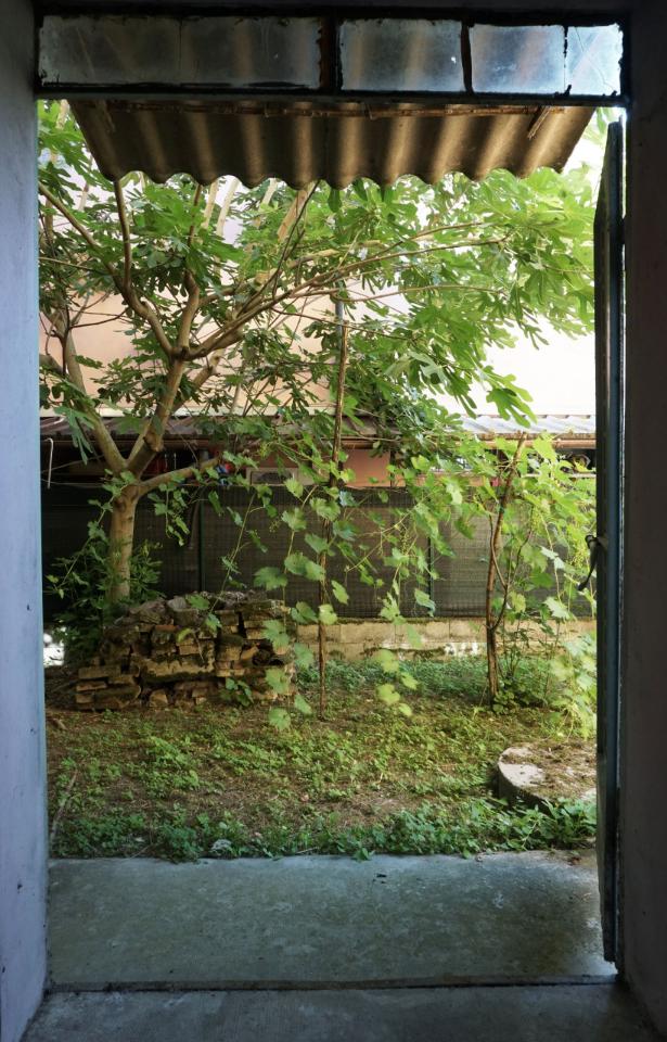 5-Zimmer Haus in Torrile, Italy, Nr. 234186