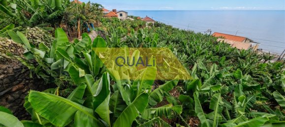 Villa de 4 dormitorios en Ponta do Sol, Portugal No. 119411 5