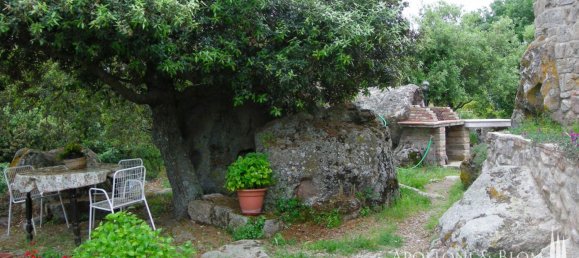 6 Schlafzimmer Wohnung in Roccastrada, Italy, Nr. 56061 30