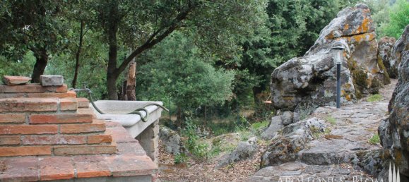 6 Schlafzimmer Wohnung in Roccastrada, Italy, Nr. 56061 28