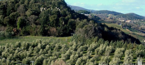 6 Schlafzimmer Wohnung in Roccastrada, Italy, Nr. 56061 31