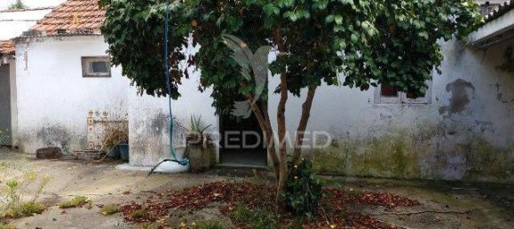 3 bedrooms House in Chamusca, Portugal No. 117847 14