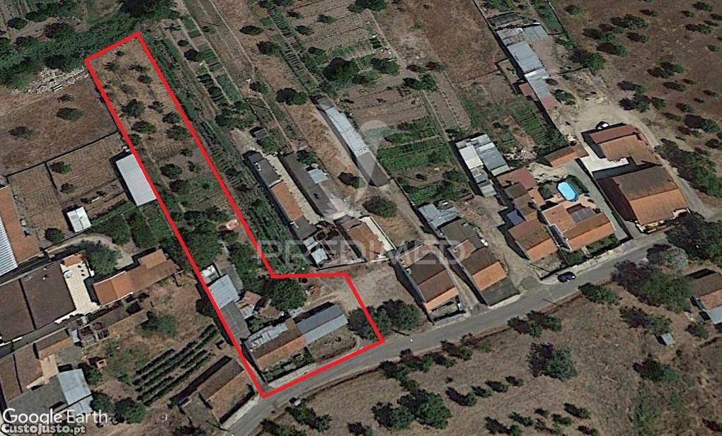 3 bedrooms House in Chamusca, Portugal No. 117847