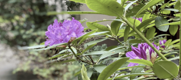 Apartamento de 2 habitaciónes en Frohnau, Germany No. 26565 10