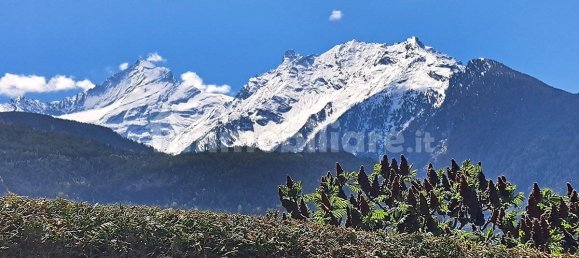 5 rooms House in Saint Pierre, Italy No. 278575 16