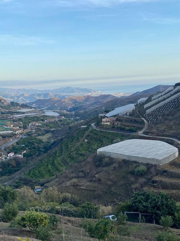 13376m² Land in Granada, Spain No. 219609