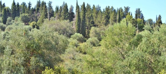 Таунхаус 200м² в Керкира, Греция № 4086 27