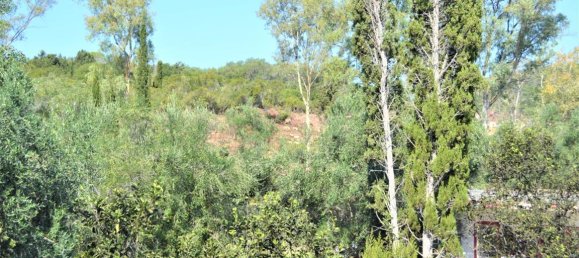 Таунхаус 200м² в Керкира, Греция № 4086 26