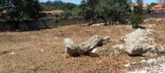 2400m² Land in Turquel, Portugal No. 63065 2