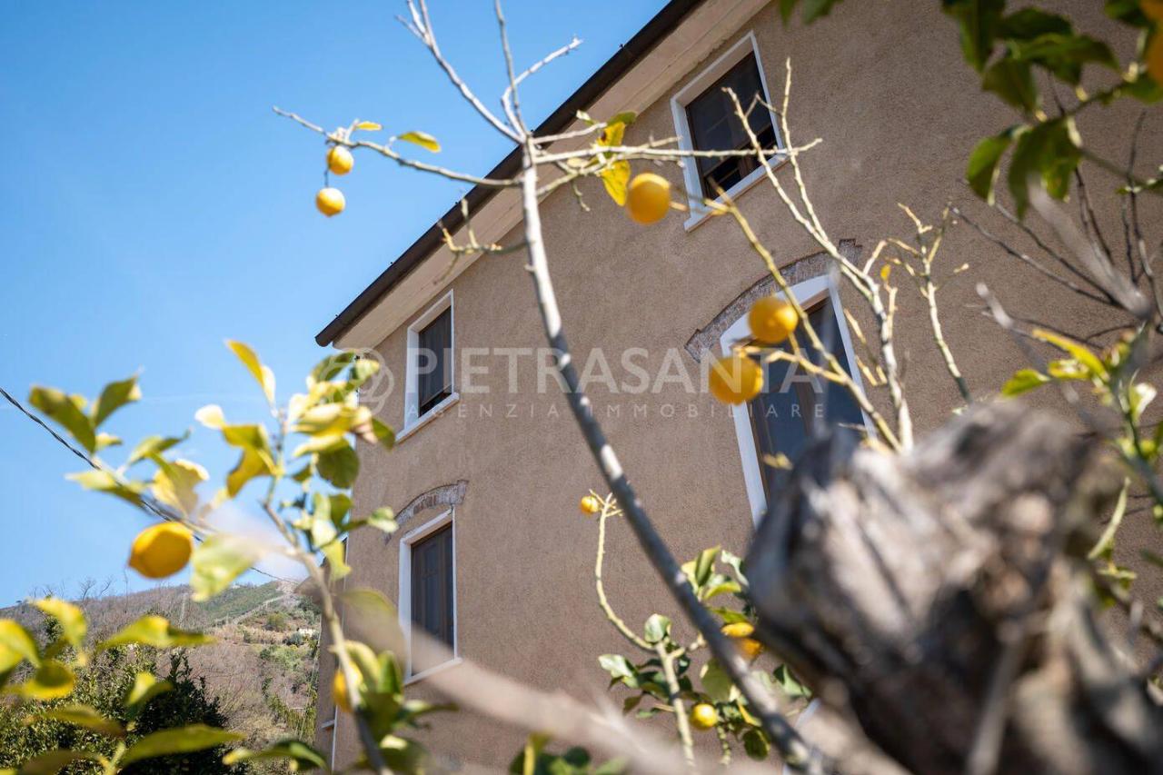 9 rooms House in Pietrasanta, Italy No. 108775