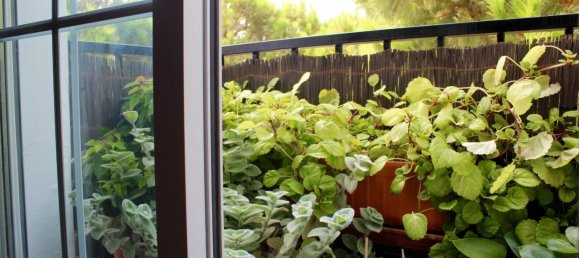 3 bedrooms Penthouse in Mijas, Spain No. 53890 29