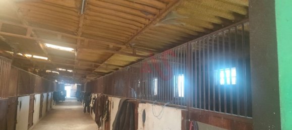 5 bedrooms House in Guimaraes, Portugal No. 10255 4