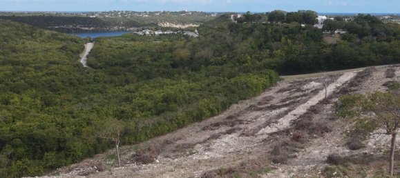 Terreno en Freetown, Antigua and Barbuda 14164 m² No. 46 5