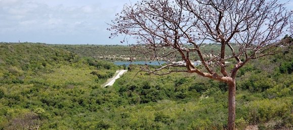 Terreno en Freetown, Antigua and Barbuda 14164 m² No. 46 3