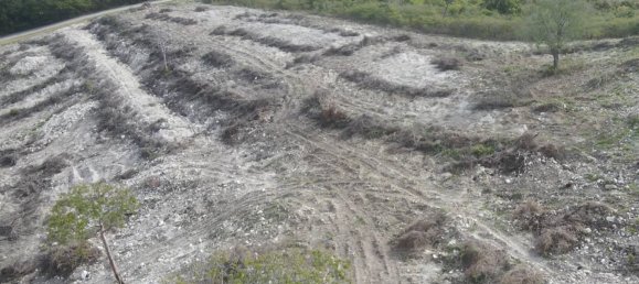 Terreno en Freetown, Antigua and Barbuda 14164 m² No. 46 13