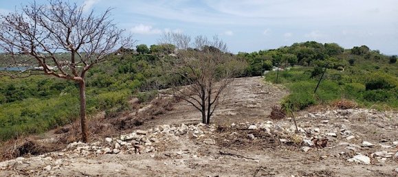 Terreno en Freetown, Antigua and Barbuda 14164 m² No. 46 4