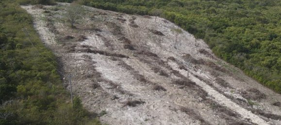 Terreno en Freetown, Antigua and Barbuda 14164 m² No. 46 6