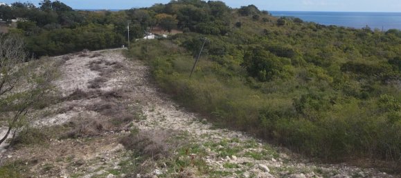 Terreno en Freetown, Antigua and Barbuda 14164 m² No. 46 14