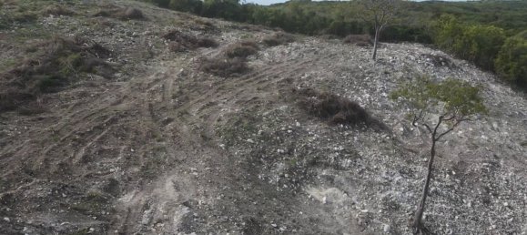 Terreno en Freetown, Antigua and Barbuda 14164 m² No. 46 10