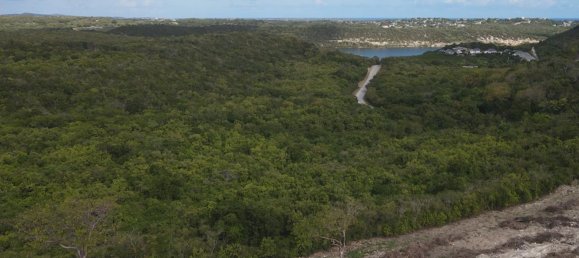 Terreno en Freetown, Antigua and Barbuda 14164 m² No. 46 15