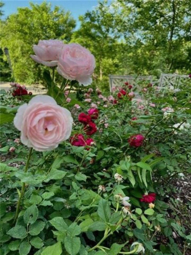 Casa de 3 dormitorios en Manhattan, USA No. 290316