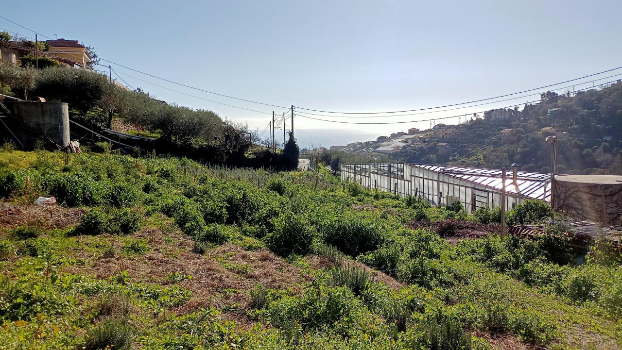 Grundstück in Sanremo, Italy 2000m², Nr. 237797