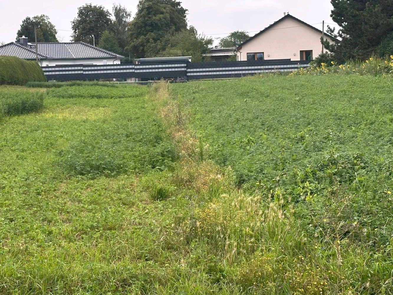 Terreno em Saalekreis, Germany N.º 250199