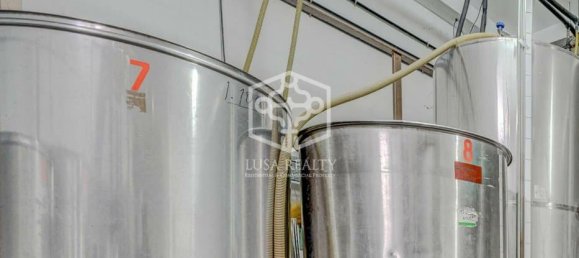 3 bedrooms Villa in Vilaflor, Spain No. 11408 10