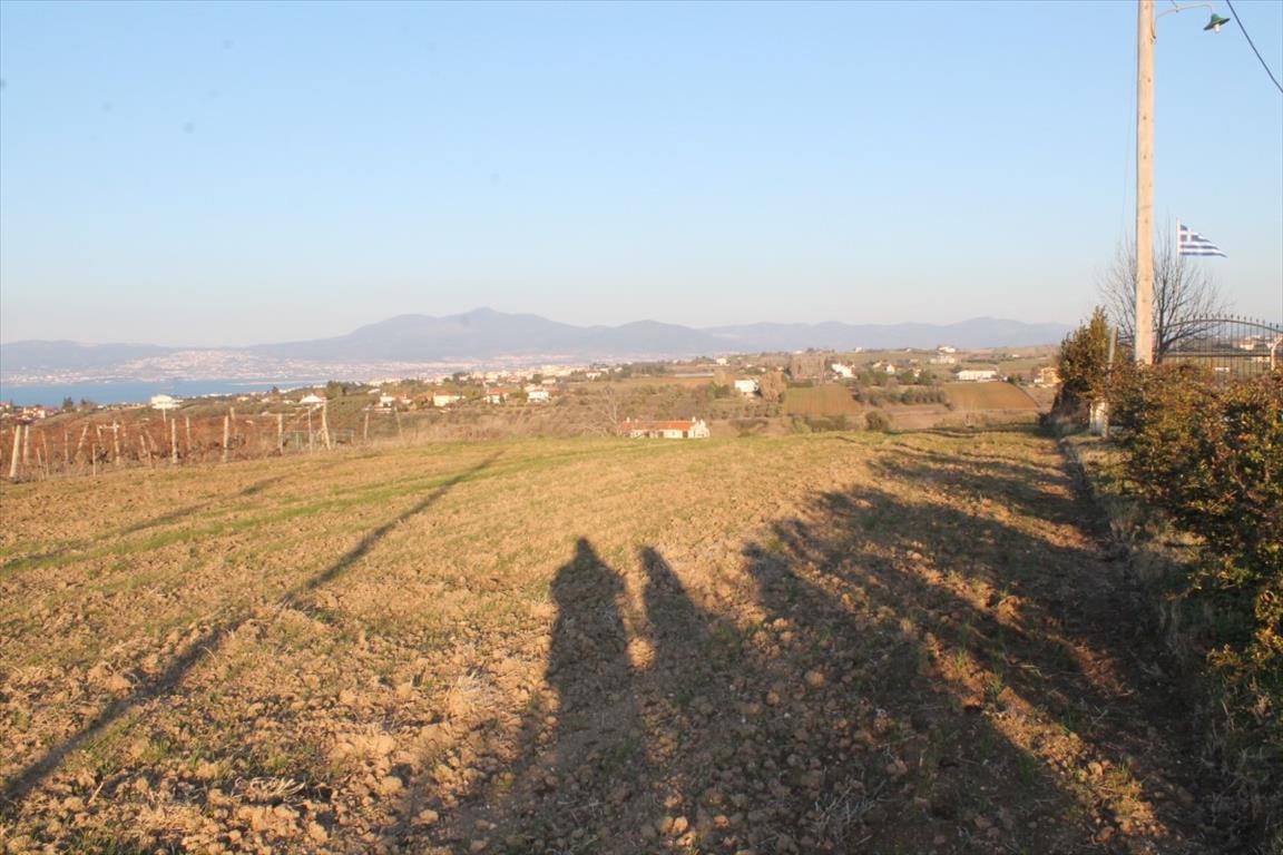 14400 m² hotel en venta en Thermaic Gulf, Thermaikos, Thessaloniki, Central Macedonia, Macedonia and Thrace, Greece № 6438