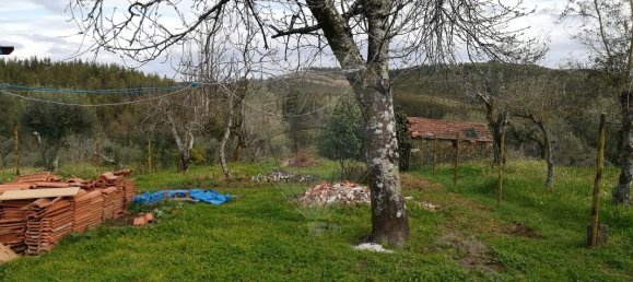 2 Schlafzimmer Haus in Aguas Belas, Portugal, Nr. 174010 24