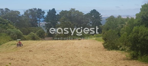 11640m² Land in Sintra, Portugal No. 79887 3
