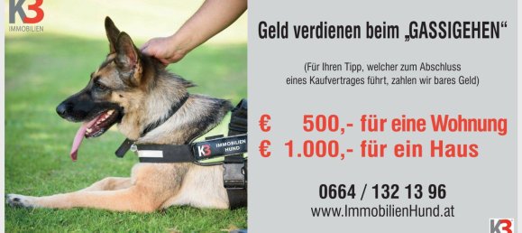 9-salle Maison à Salzburg, Austria No. 14597 14