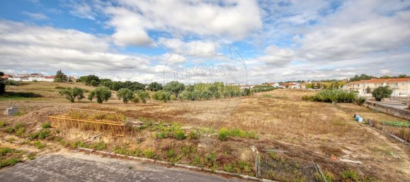 10232m² Land in Cartaxo, Portugal No. 99395 3